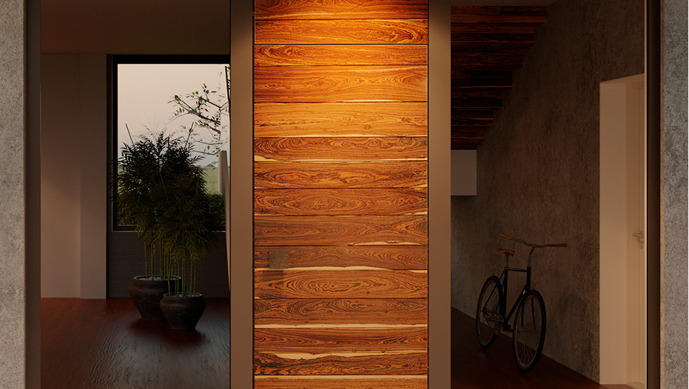 FENNEN Solen Bocote Haustür aus der Reihe Exoten & Handwerk mit horizontalen Balken aus Bocote-Holz